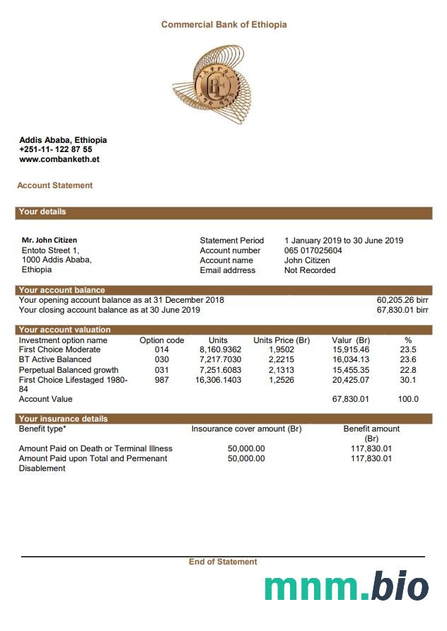 Ethiopia Bank of Abyssinia wzór wyciągu bankowego w formacie Word i PDF
